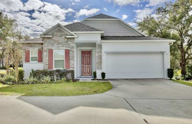 25449 Pine Valley Drive - 25449 Pine Valley Drive, Mount Plymouth, FL 32776