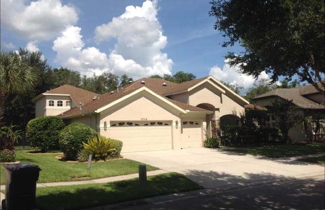 15316 VIREOGLEN LANE - 15316 Vireoglen Lane, Fish Hawk, FL 33547