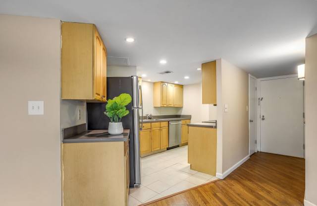 1 Bedroom Meridian Hill Oasis - Parking Included! Between Admo, U Street, and Columbia Heights! Pets Welcome! photos photos