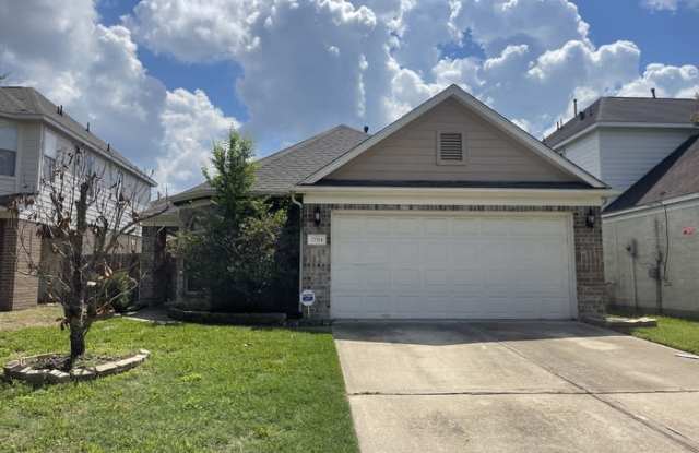 22514 Spence Park Court - 22514 Spence Park Court, Spring, TX 77373