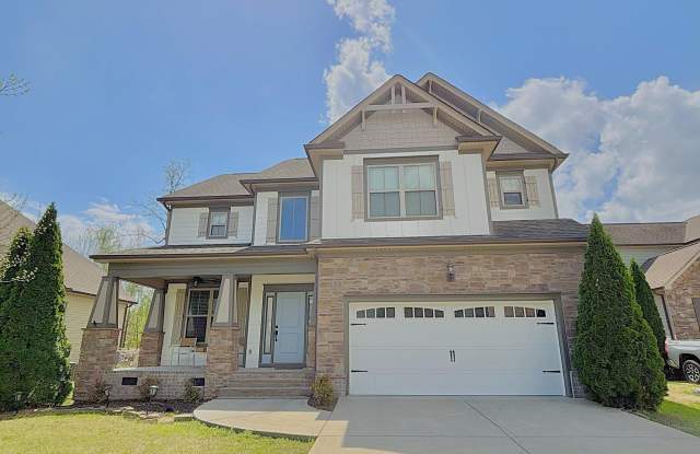 1044 Manassas Drive photos photos