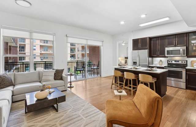 The William photos photos