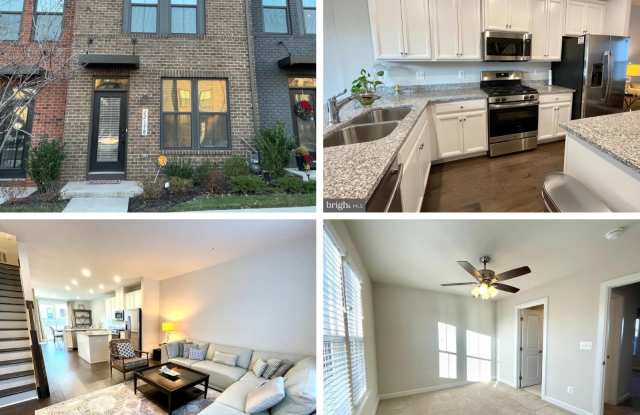 22178 Maple Tree Terrace - 22178 photos photos