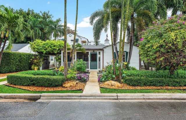 65 Palm Square photos photos
