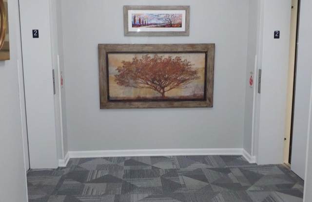 2610 CHAPEL LAKE Drive Gallery 3