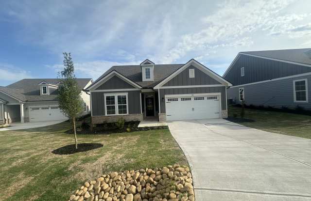 1541 Lake Drive photos photos
