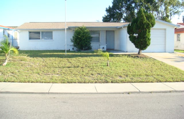 5738 Liddell Dr - 5738 Liddell Drive, Elfers, FL 34652