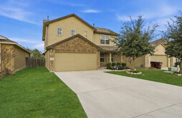 15135 Longtailed Duck photos photos 15135 Longtailed Duck photos photos