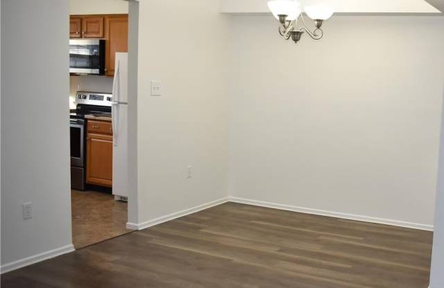 1604 Shenandoah Court Gallery 3