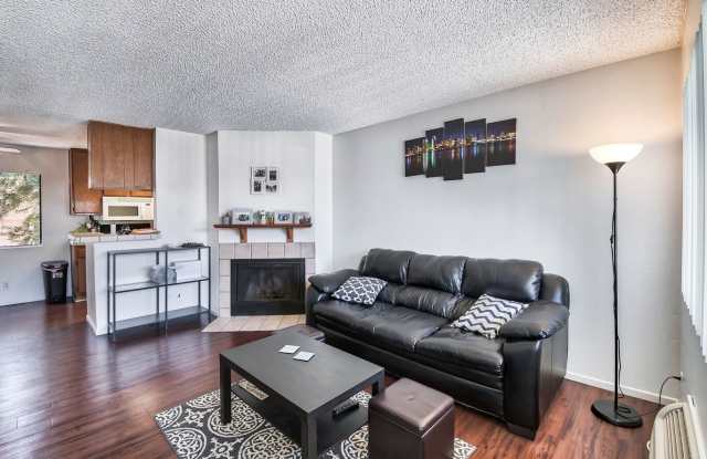 CSP Hamilton Gallery 1