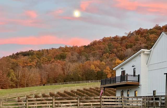 Home on Beautiful Farm and Vineyard Minutes From Town Of Blacksburg photos photos