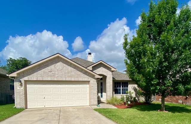 707 POINT SUNSET - 707 Point Sunset, Bexar County, TX 78253