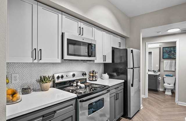 The Palms at Clear Lake Apartments photos photos