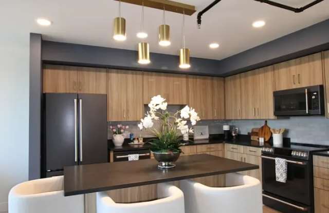 Marche at Midtown- 1309 Thomasville (OBMH) Gallery 2