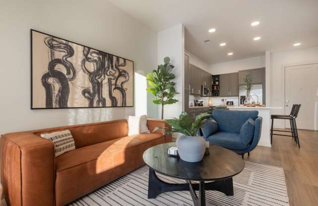 Southerly at LoSo photos photos