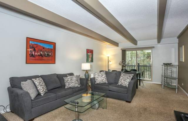 2 bed, 2 bath in Breckenridge! Winter seasonal! Heat included Gallery 3