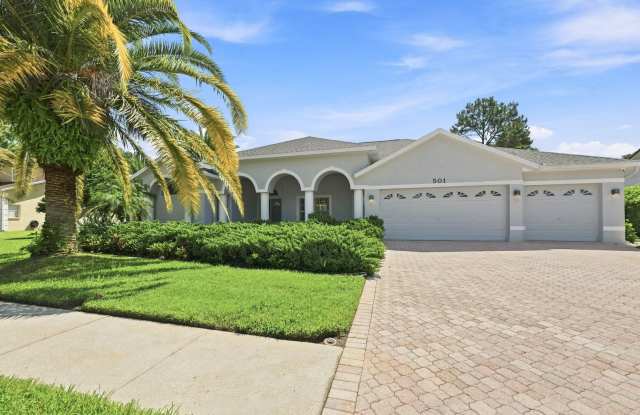 Gorgeous Executive Style pool home in Tarpon Springs! Gallery 4