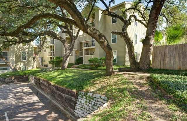 Hyde Park Oaks #201 Gallery 1