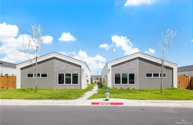 1317 E Hibiscus Avenue - 1317 East Hibiscus Avenue, McAllen, TX 78501