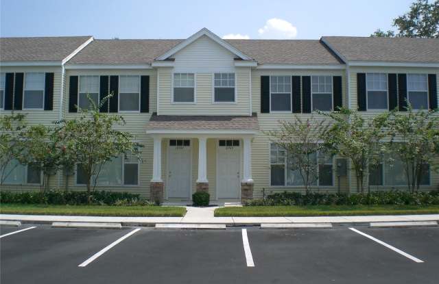 10945 BLACK SWAN COURT - 10945 Black Swan Court, Mango, FL 33584