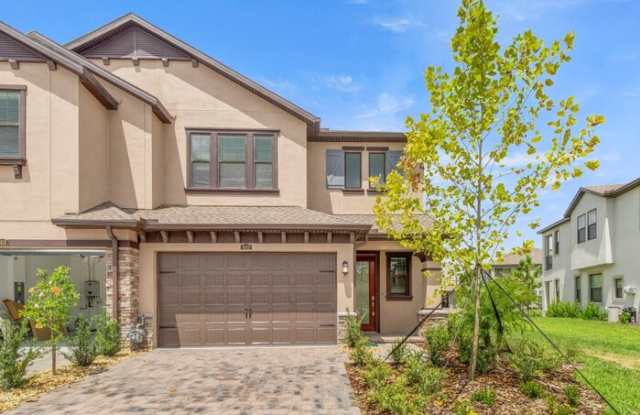 4619 Almada Ln - 4619 Almada Lane, Wesley Chapel, FL 33543