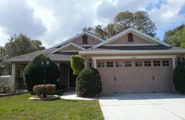 20840 Sullivan Ranch Blvd. - 20840 Sullivan Ranch Bv, Lake County, FL 32757