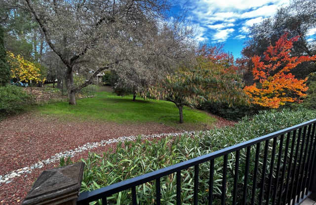 Beautiful Lake Wildwood Home on Cul-de-sac Gallery 3