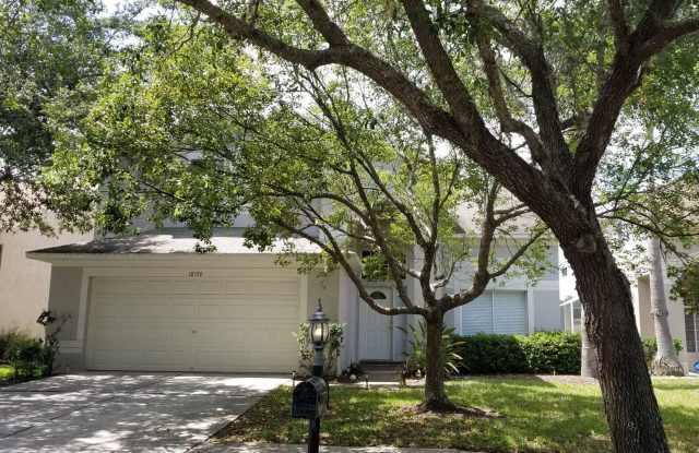 18176 Sandy Pointe Dr. - 18176 Sandy Pointe Drive, Tampa, FL 33647