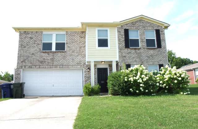 Move-In Special! - 141 Ranier Street, Meridianville, AL 35759