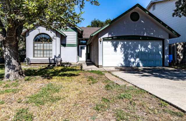 9303 Autumn Storm photos photos