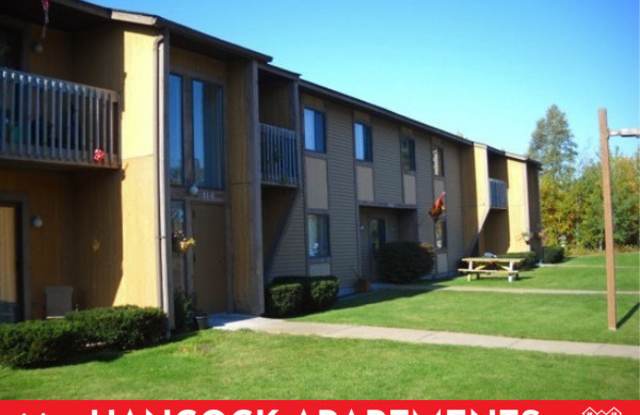 802 Ingot St - 802 Ingot Street, Hancock, MI 49930