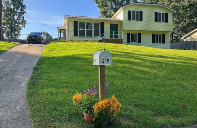 218 Fernleaf Drive - 218 Fernleaf Drive, Greenville County, SC 29690