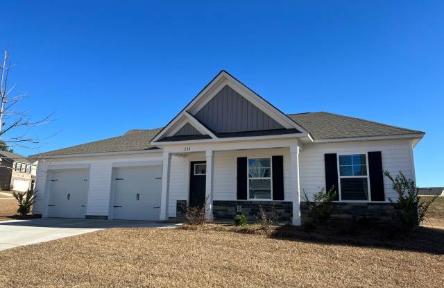 SINGLE-LEVEL LIVING WITH STYLE, SPACE AND PRIME LOCATION IN IRMO'S LIVINGSTON PLACE photos photos