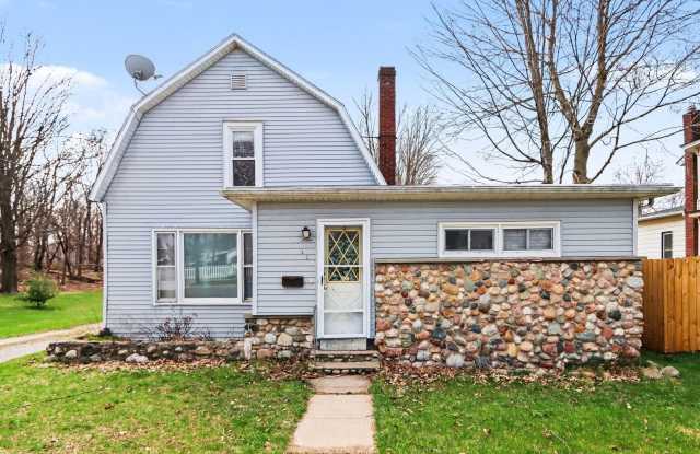 607 Mechanic Street - 607 Mechanic Street, Three Rivers, MI 49093