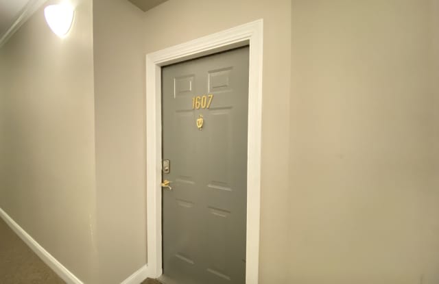 1607 Cambridge Lakes Dr Gallery 2