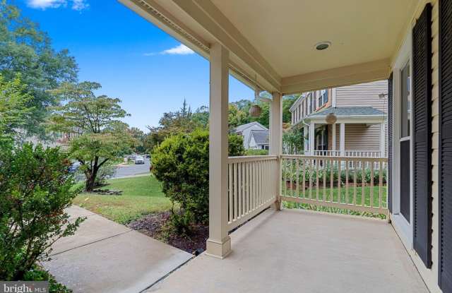 7827 BOLD LION Lane Gallery 4