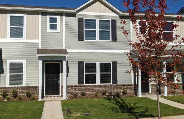 2 Story Townhome-Salisbury photos photos