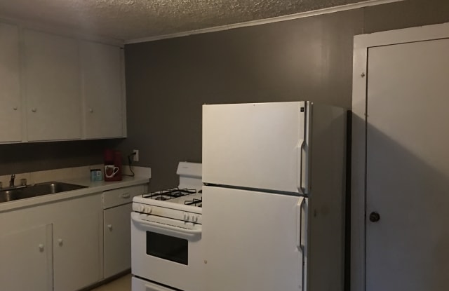 129 1/2 W Schuyler St - 129 1/2 W Schuyler St, Oswego, NY 13126
