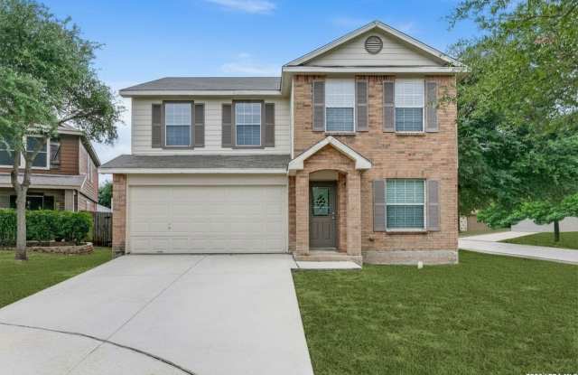 11814 Amber Tree photos photos