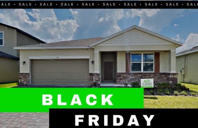 1130 Lone Palm Way - 1130 Lone Palm Way, Osceola County, FL 34771