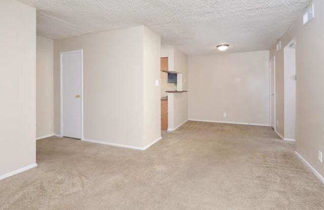 8743 Cinnamon Creek Dr Gallery 2