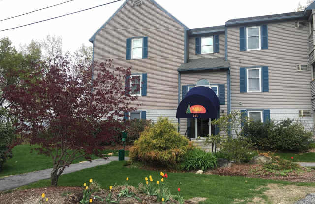 167 Eastern Avenue Gallery 4