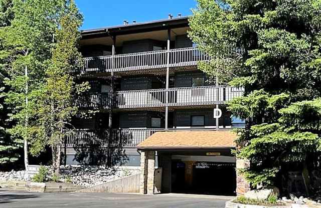 Winter Seasonal Rental- Mountainside Condos #247D photos photos