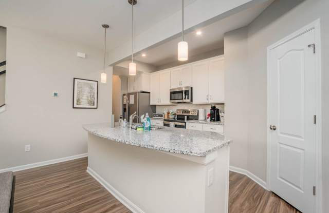 Fully Furnished Luxury Corporate Rental - Brand New Construciton Gallery 4