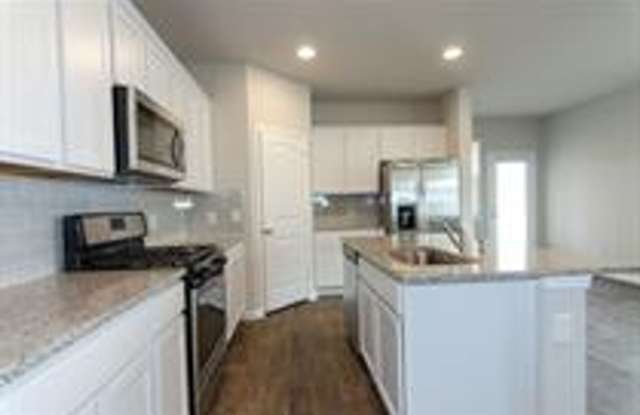 392 Fall Aster Drive Kyle, TX 78640 Gallery 4