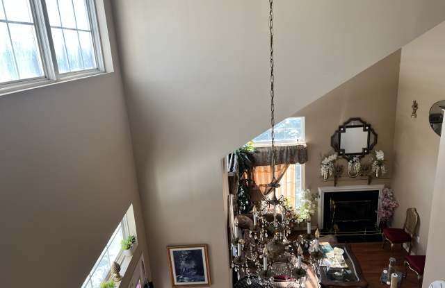 14 Knollwood St Gallery 3