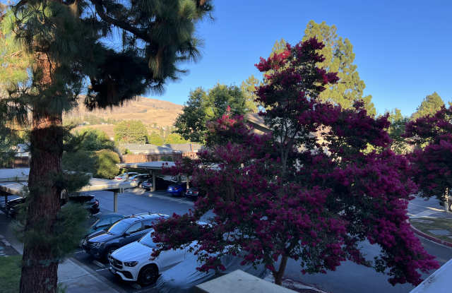 46856 Fernald Common photos photos