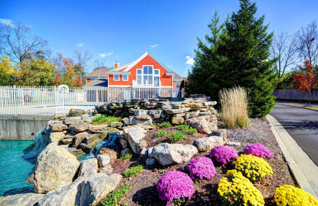 Austin Springs photos photos