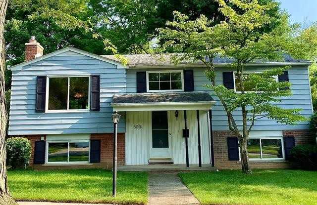 503 MAPLEWOOD Street - 503 Maplewood Street, Northville, MI 48167 503 MAPLEWOOD Street - 503 Maplewood Street, Northville, MI 48167