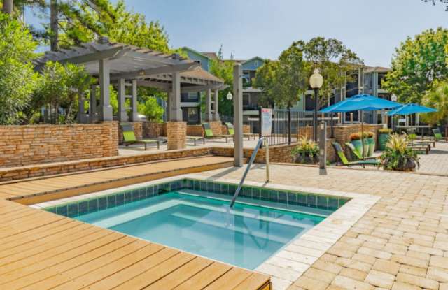 Lory of Tallahassee Gallery 2